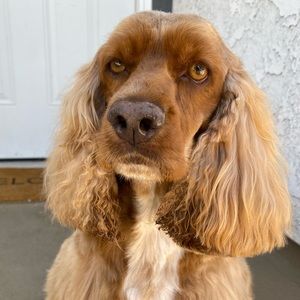 Meet your Posher, Kristina